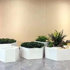 個(gè)性定制型